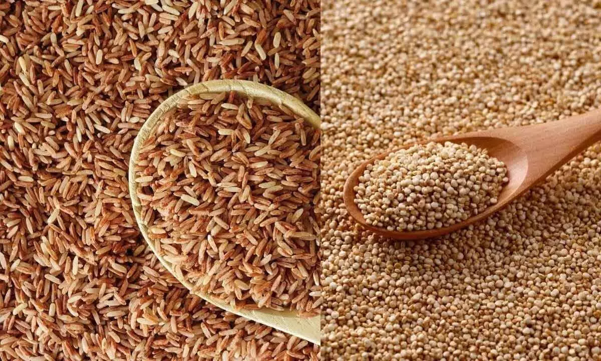 Brown Rice vs Quinoa: Which Grain Supports Better Blood Sugar Control? Brown Rice vs Quinoa: Which Grain Supports Better Blood Sugar Control?