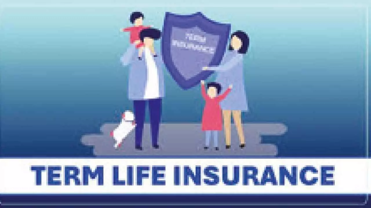 Term insurance trends in state show rise Term insurance trends in state show rise