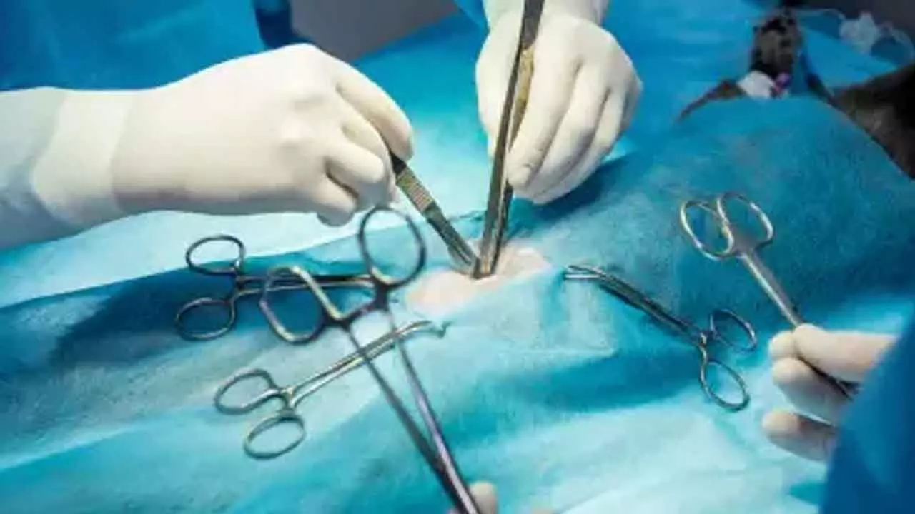 Hospital showcases advanced spine surgeries Hospital showcases advanced spine surgeries