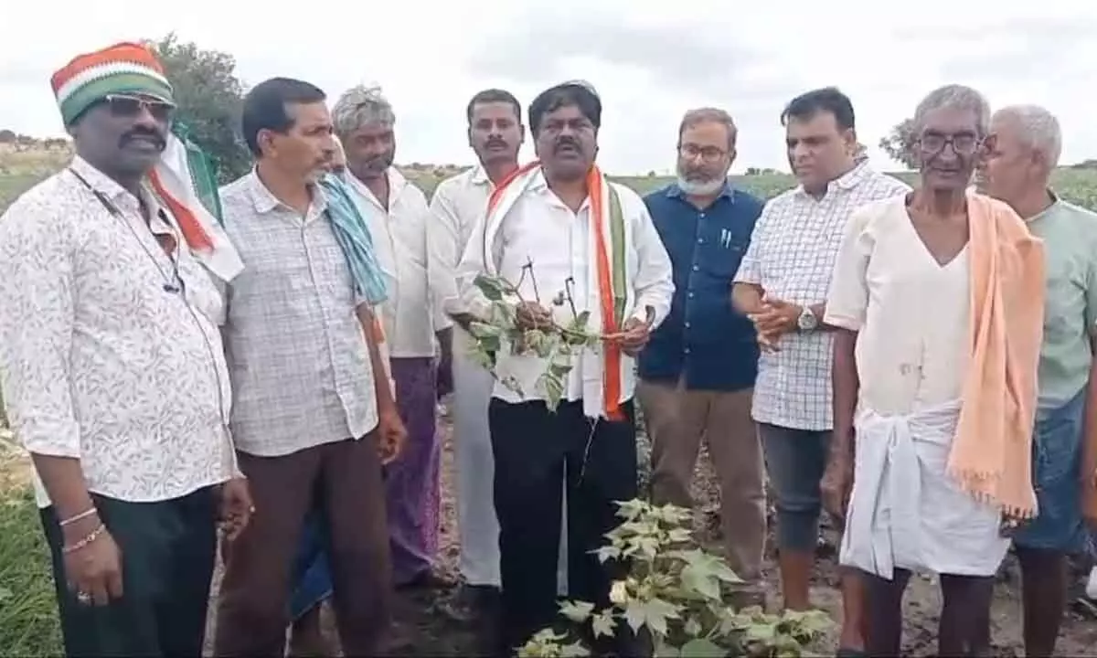 Congress seeks Rs 30,000 compensation per acre for rain-hit farmers in Kurnool