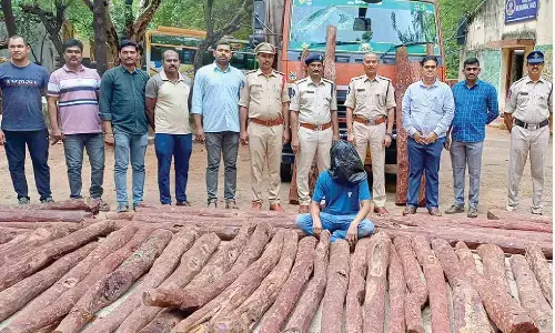 Taskforce red sanders worth Rs. 2 cr, arrests one smuggler