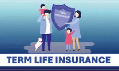 Term insurance trends in state show rise