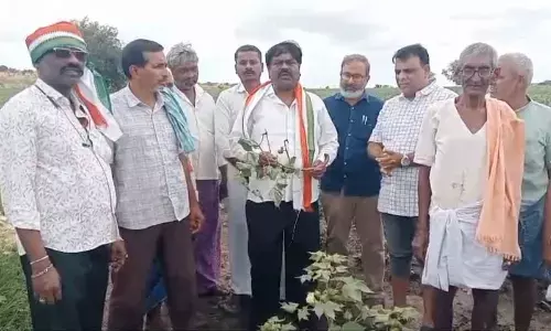 Congress seeks Rs 30,000 compensation per acre for rain-hit farmers in Kurnool