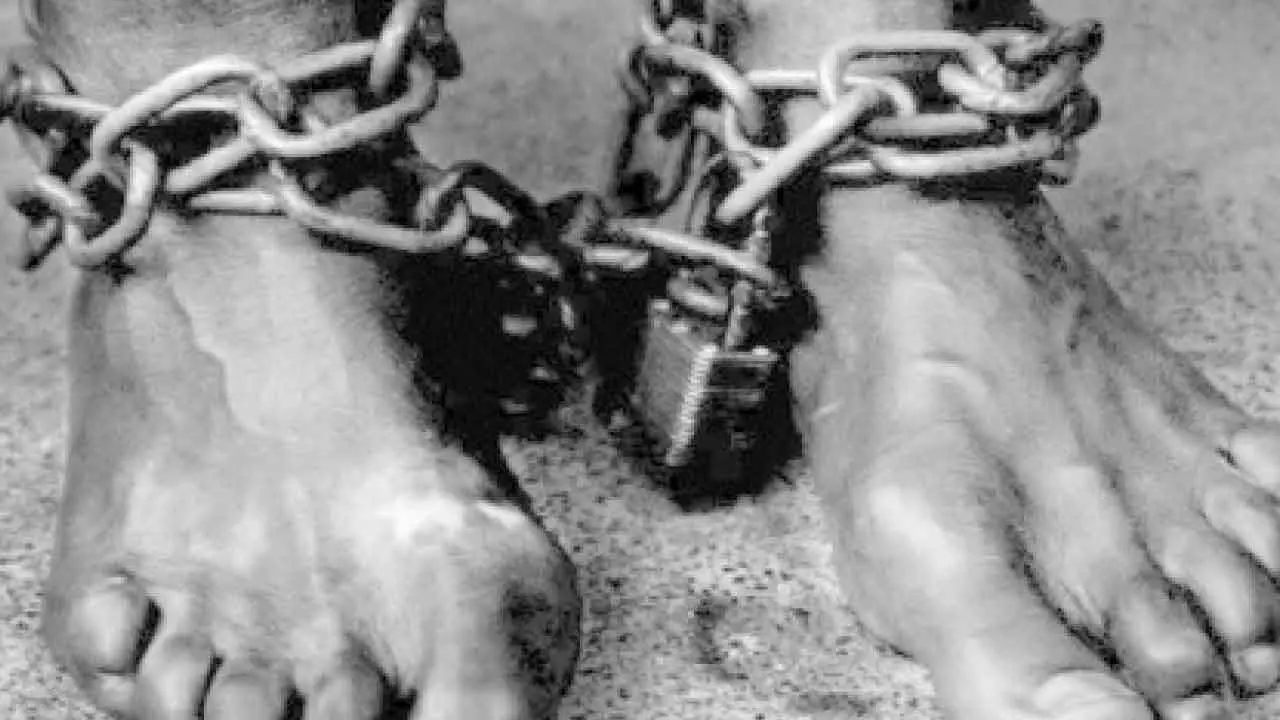 Bonded labour case: Rights panel takes cognisance Bonded labour case: Rights panel takes cognisance