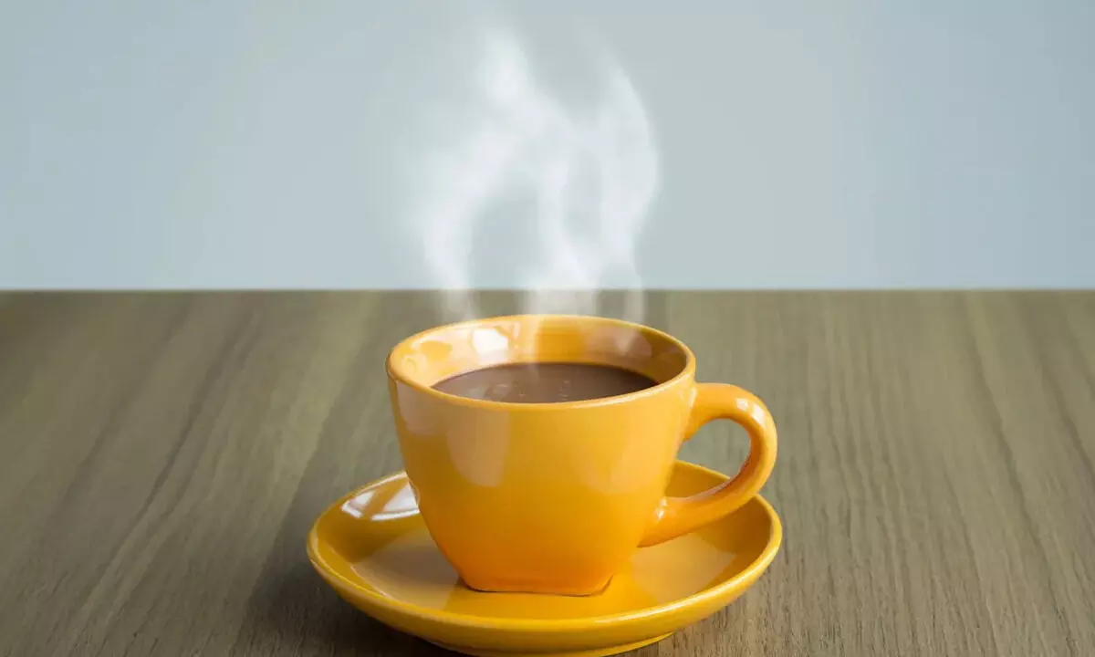 Best Time to Drink Tea: Health Benefits, Right Way, and How Much Is Safe