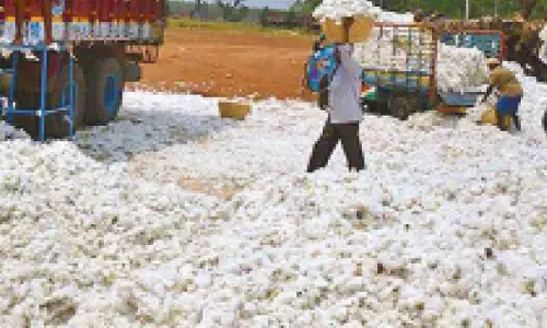 SKM slams Centre’s scrapping of duty on cotton imports, urges immediate rollback
