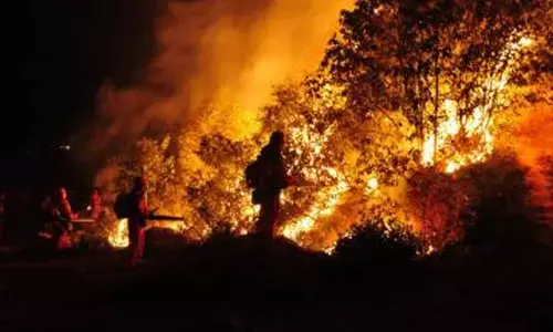 Wildfires in Spain signal growing climate risks for Europe, expert warns