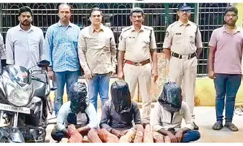 3 held; 26 red sanders logs seized
