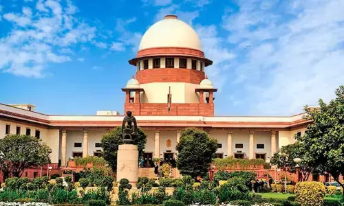 Supreme Court Acknowledges Previous Stray Dog Order Was Excessively Harsh, Allows Conditional Release