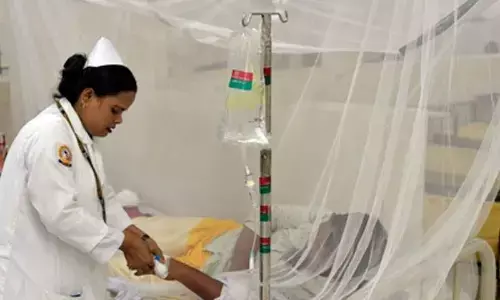 Bangladesh records highest single-day toll of 5 dengue deaths