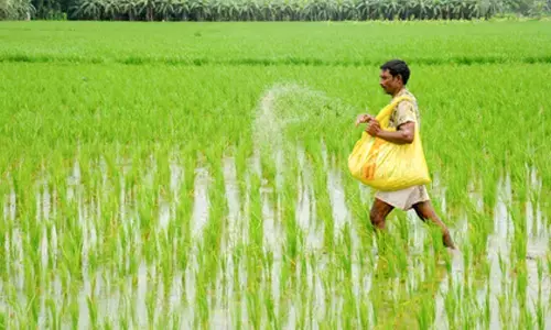 Urea production witnesses 35 pc growth over past decade, DAP sees 44 pc rise: Govt