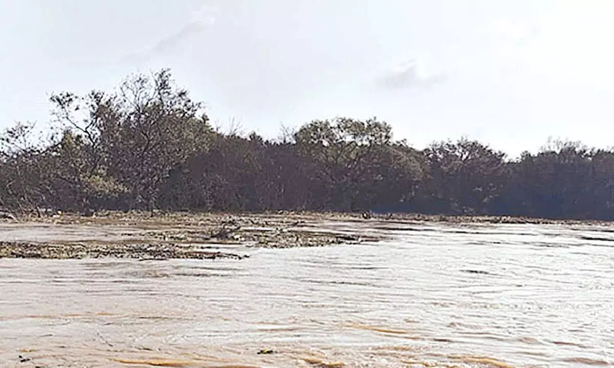 ONGC pipeline gas leak creates panic in Dariyalatippa ONGC pipeline gas leak creates panic in Dariyalatippa