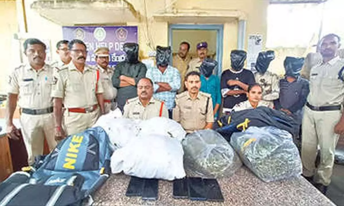 Six held for illegal ganja transport; 10kg seized