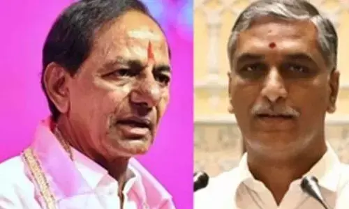 TG HC asks govt not to make Kaleshwaram report public