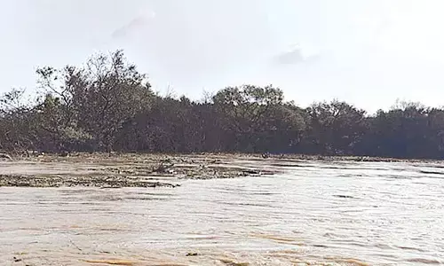 ONGC pipeline gas leak creates panic in Dariyalatippa