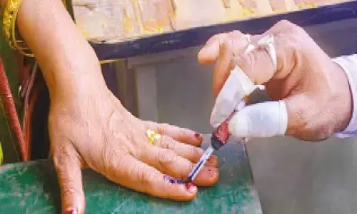 State cabinet to take call on holding local body polls