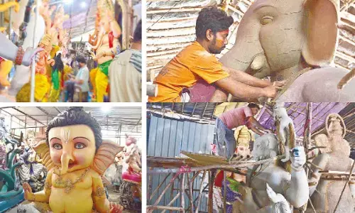 Green Drive: HMDA to distribute 1 lakh clay Ganesh idols for free