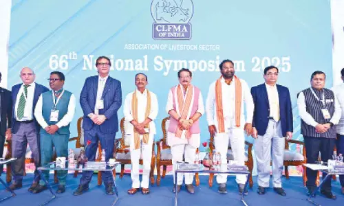 India’s dairy sector adds 13% to global milk output