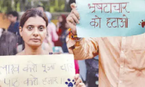 SC order on stray dogs draws positive reactions in UP