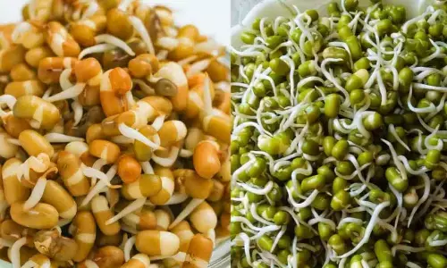 Steamed vs Raw Sprouts: What Should You Choose This Monsoon?