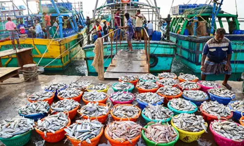 Indias seafood exports touch $7.45 billion