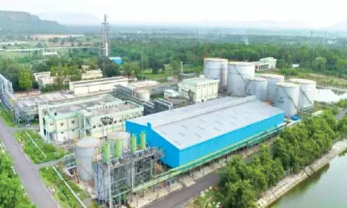 Rs 150 cr needed to resume urea production at RFCL