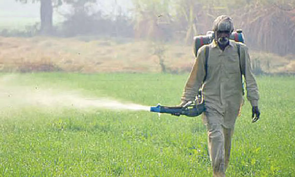 Blame game over urea shortage