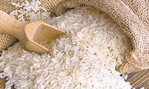 India exports 20 tonnes of fortified rice to Papua New Guinea