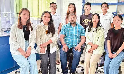 Nagaland varsity-led global team identifies lanthanide salts to help industries prevent corrosion
