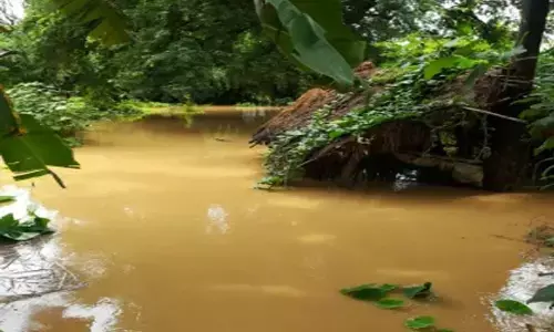 Flood alarm in Odisha as major rivers flow above danger marks