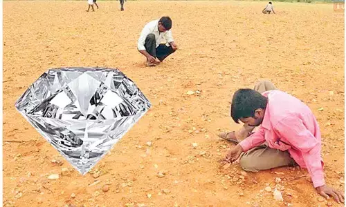 Monsoon rains spark diamond rush in Rayalaseema villages
