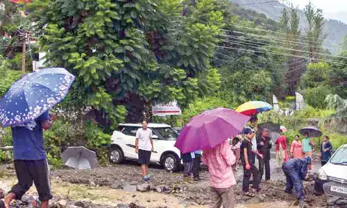 Heavy rains disrupt normal life in HP, schools closed