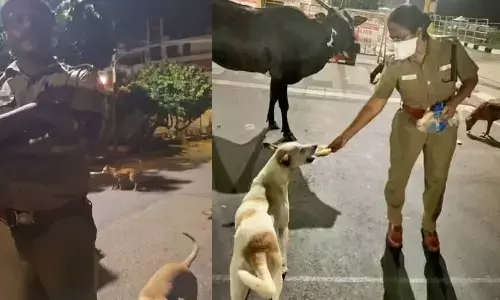 Chennai Police Officer Faces Backlash For Victim-Blaming Comment To Woman Feeding Stray Dogs