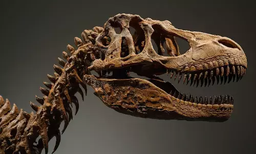 200-Million-Year-Old Crocodile-Like Fossil Unearthed in India