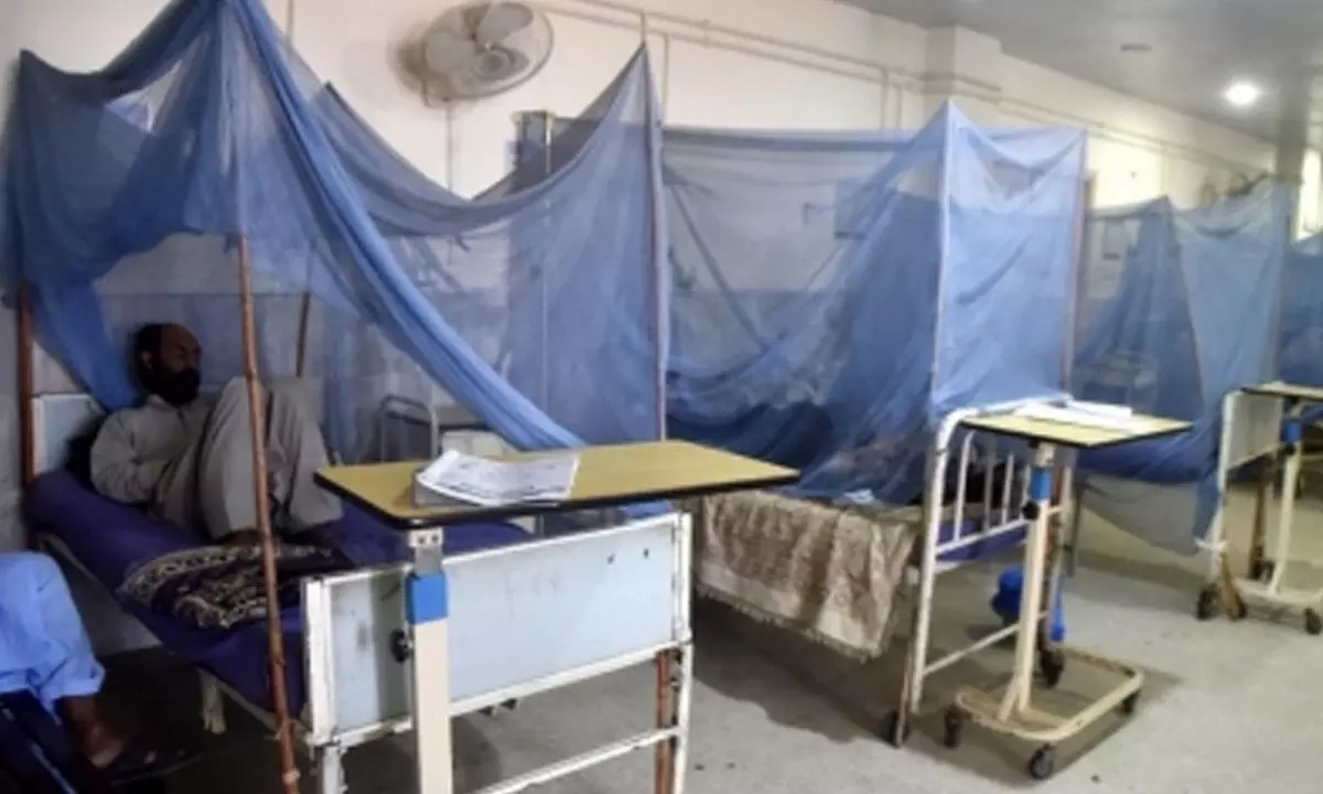 Pakistan: Six new patients raise dengue cases in Rawalpindi to 76 Pakistan: Six new patients raise dengue cases in Rawalpindi to 76