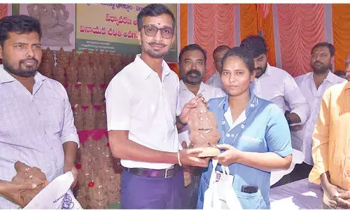 Collector: Use clay Ganesh idols to protect environment