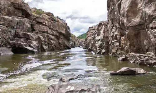 TN farmers’ assn criticises CM over defence of Mekedatu dam