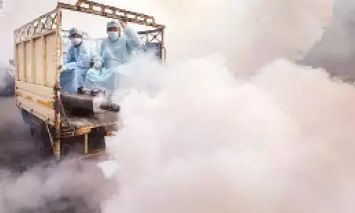 Dengue cases in Delhi lower than last year