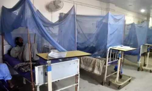 Pakistan: Six new patients raise dengue cases in Rawalpindi to 76
