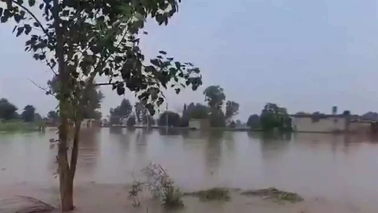 Punjab flood: Thousands spend night on rooftops; await relief material