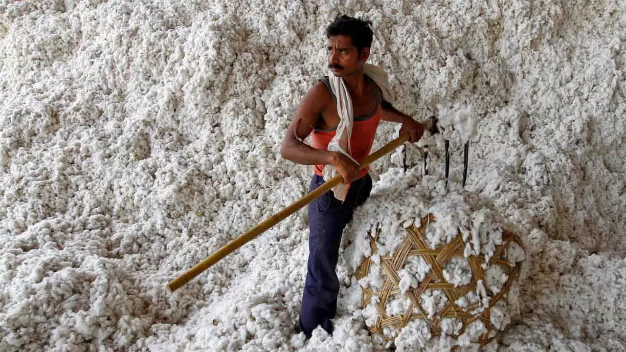 Govt Extends Cotton Import Duty Exemption Till Dec 31 Amid US Tariff Pressure Govt Extends Cotton Import Duty Exemption Till Dec 31 Amid US Tariff Pressure