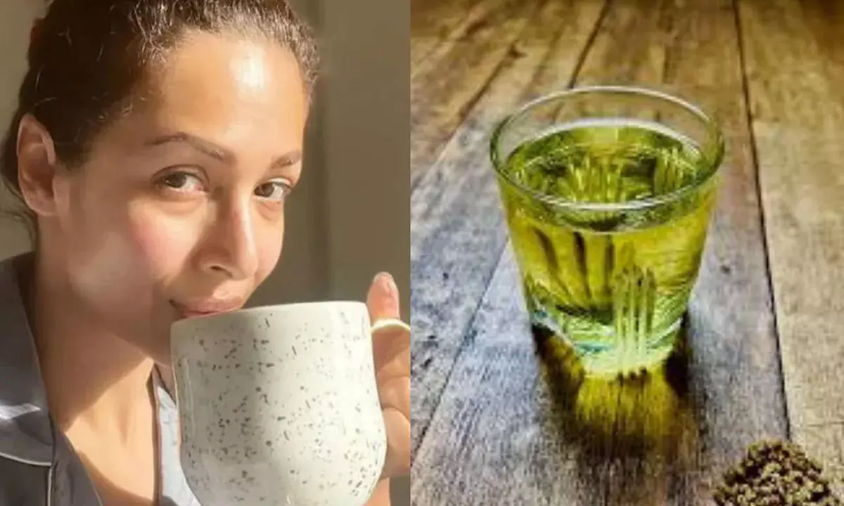 Malaika Arora’s Morning Detox Drink: A Simple Recipe for Gut Health and Radiant Skin Malaika Arora’s Morning Detox Drink: A Simple Recipe for Gut Health and Radiant Skin