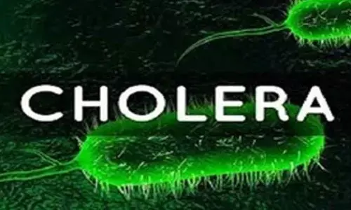 Cholera death toll rises to 75 in Chad