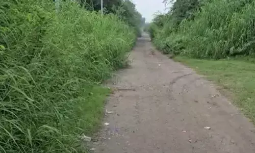 Delhi Police nab two US-based Harry Boxer gang members