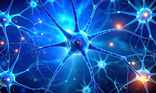 Overworked brain cells may burn out in Parkinsons disease: Study