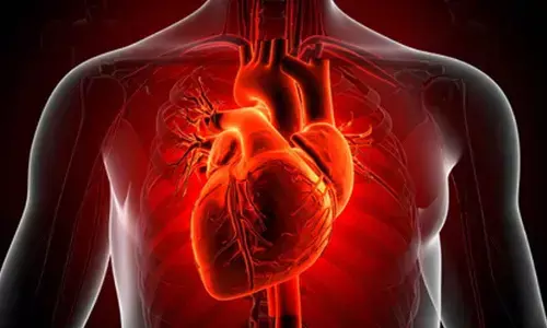 Study shows bacterial infections trigger heart attacks