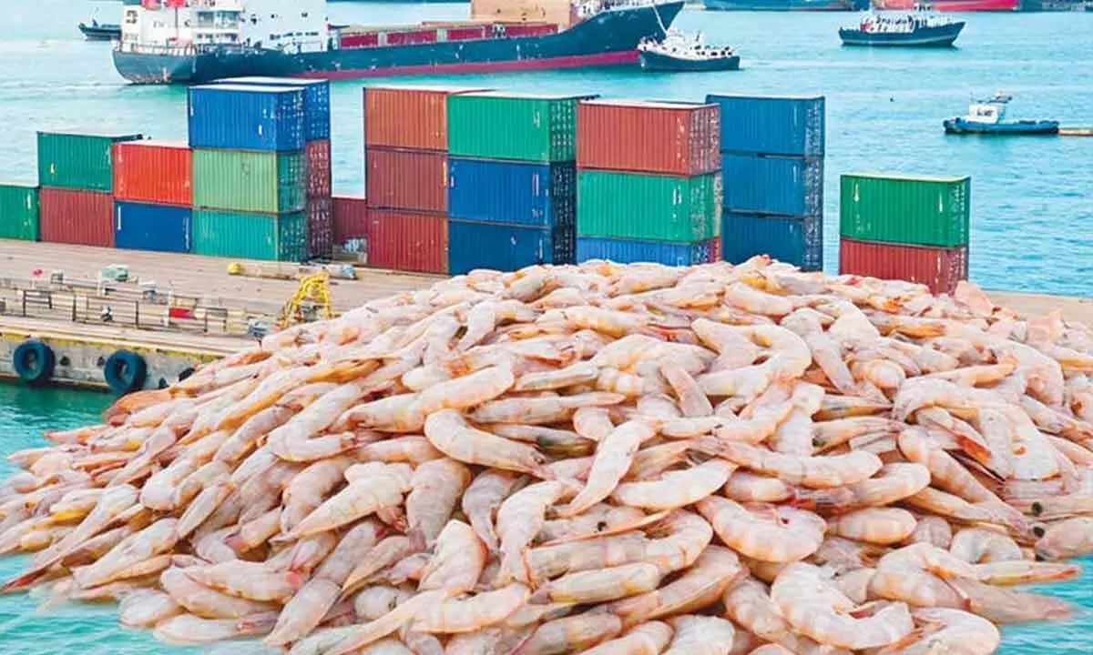 Centre urged to intervene on tariffs toll on shrimp exports Centre urged to intervene on tariffs toll on shrimp exports
