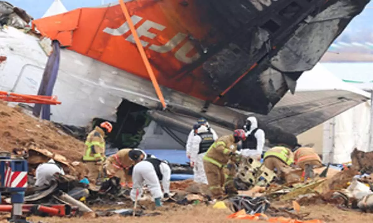 Aviation safety investment up 5.7 pc in 2024, Jeju Airs plunges 36.5 pc Aviation safety investment up 5.7 pc in 2024, Jeju Airs plunges 36.5 pc