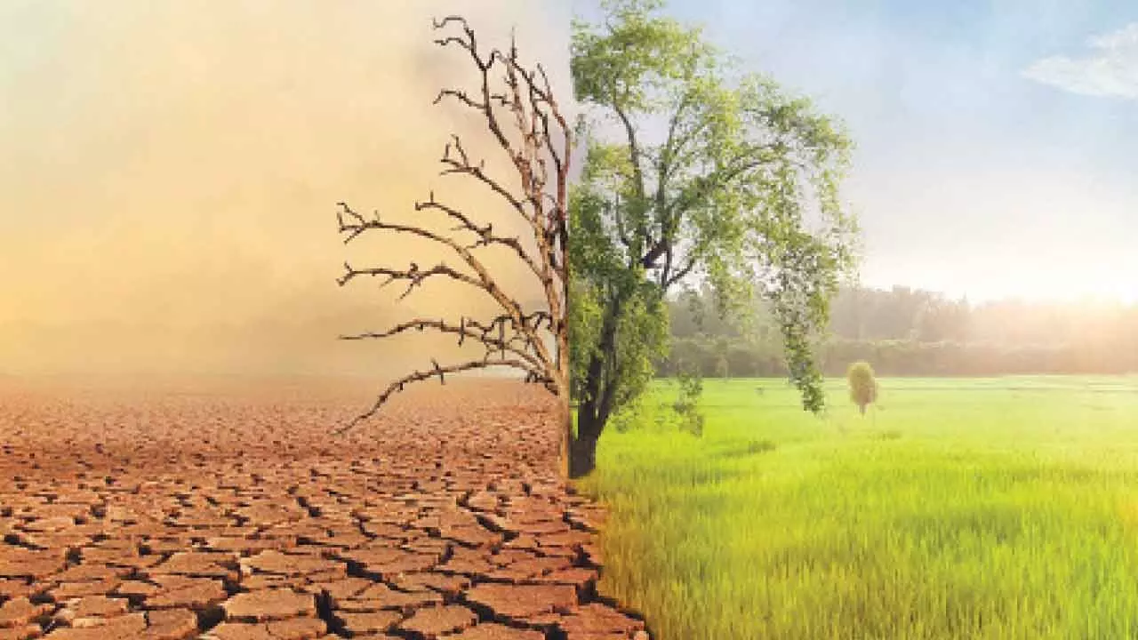 IIT Madras study shows how human activity affects aerosol and climate