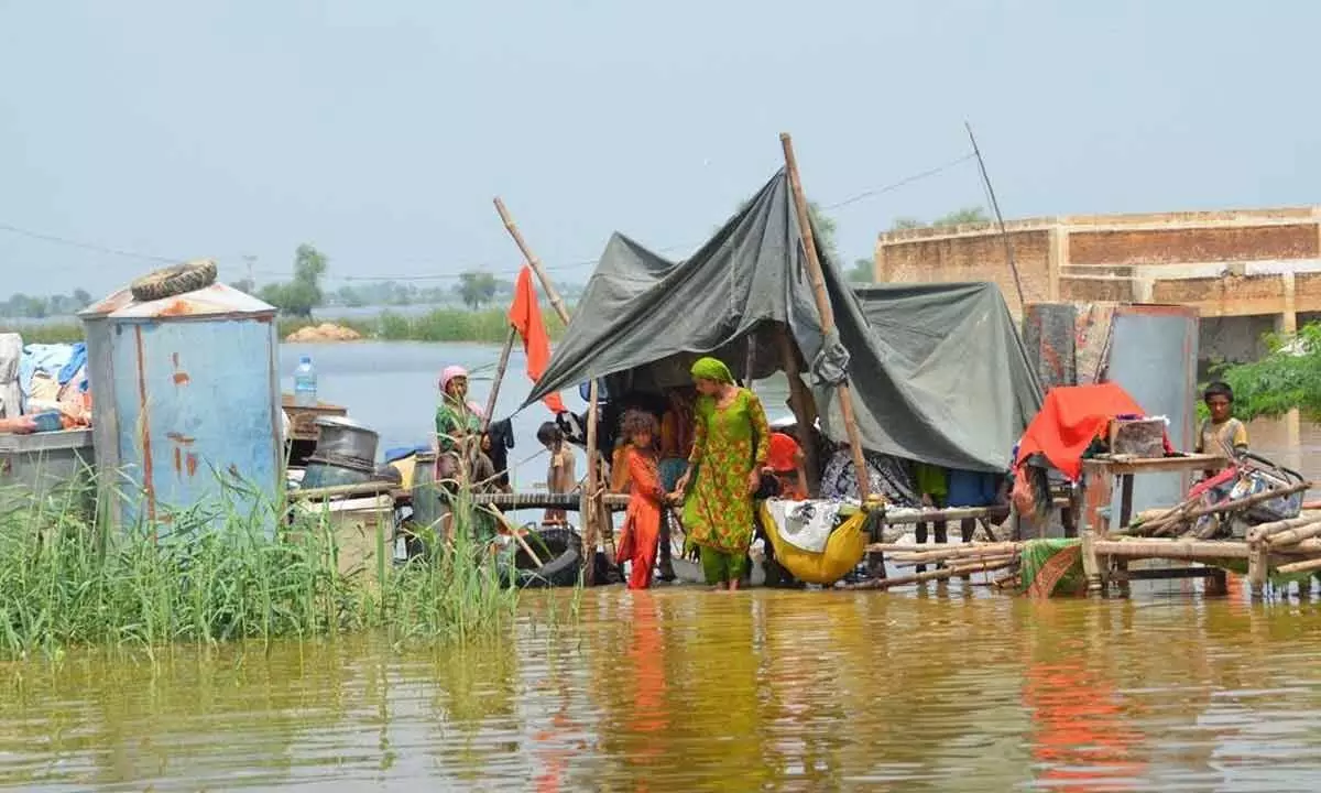 Pakistan Minister Makes Controversial Claims About Cross-Border Bodies During Devastating Flood Crisis Pakistan Minister Makes Controversial Claims About Cross-Border Bodies During Devastating Flood Crisis